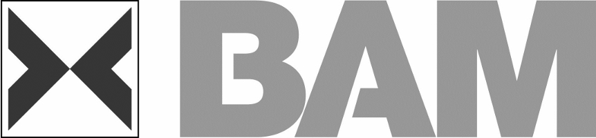 Partnerzy2 BAM